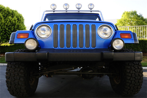 T-Rex Grilles - T-Rex Grilles 30490 Billet Series Grille