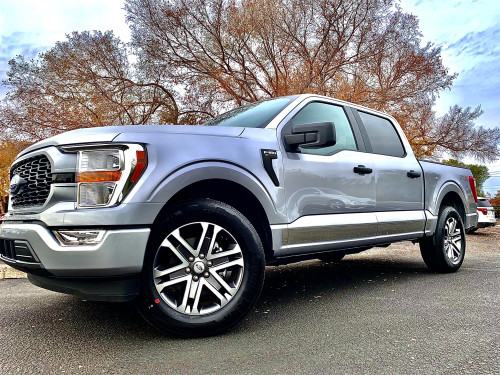 ICI (Innovative Creations) - ICI (Innovative Creations) T4175-304M Rocker Panel Molding