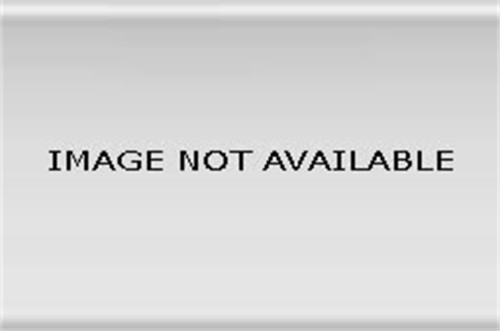 Stampede - Stampede 8525-2 Trail Riderz Fender Flare