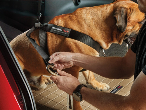 WeatherTech - WeatherTech 84PH1923BK Pet Travel Safe Harness