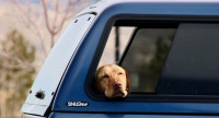 Snugtop - Xtra Vision - Image 3