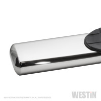 Westin - Westin 21-63940 PRO TRAXX 6 Oval Nerf Step Bars - Image 3