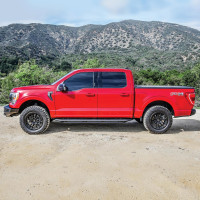 Westin - Westin 58-53945 Outlaw Nerf Step Bars - Image 11