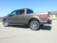 Frontier Truck Gear - Frontier Truck Gear 100-11-5010 Diamond Rear Bumper - Image 2