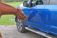 Dee Zee - Dee Zee DZ16421 Brite-Tread Aluminum Side Step 6 in. Oval Cab Length - Image 8