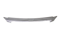 Auto Ventshade - Auto Ventshade 620037 Aeroskin Chrome Hood Protector - Image 1