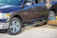 Dee Zee - Dee Zee DZ16113 Stainless Steel Side Steps 6 in. Oval Cab Length - Image 5